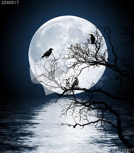 Image of Ravens sitting on a tree shined with the full moon