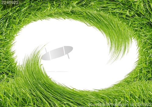 Image of Green grass isolated on white background
