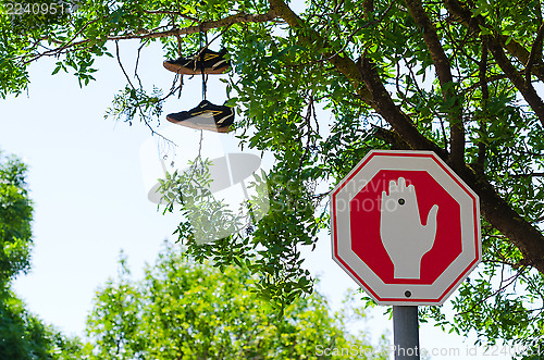 Image of Wrong way Stop sign and shoes on the tree