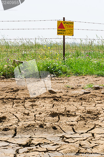 Image of Dried soil and flowered minefield