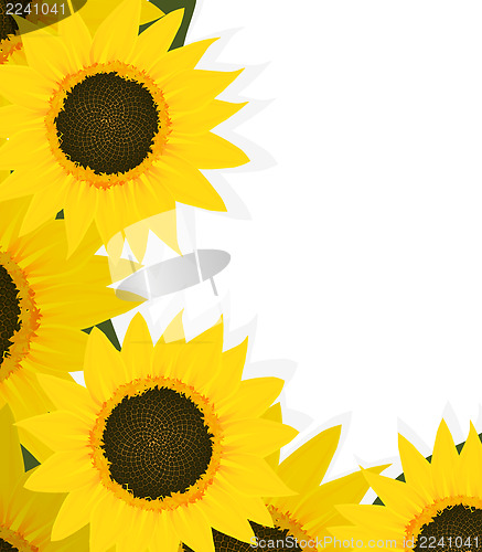 Image of Sunflowers corner
