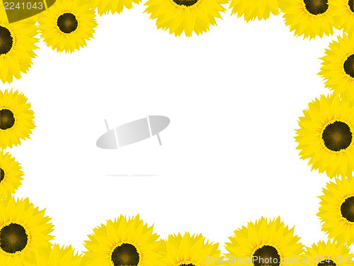 Image of Thanksgiving card with sunflowers
