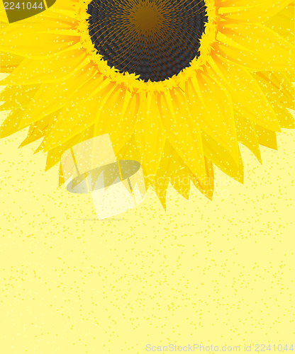 Image of Decorative sunflower graphic