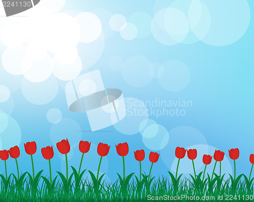 Image of Summer meadow 