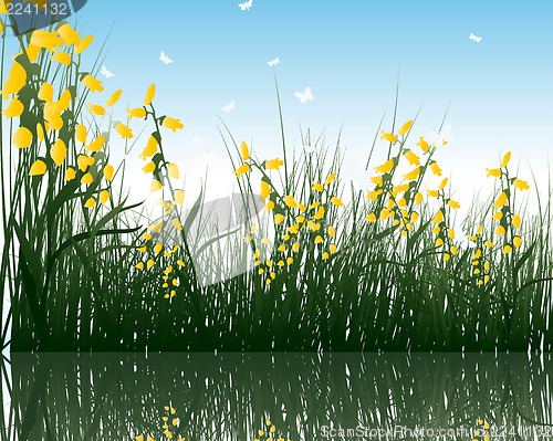 Image of grass with reflections in water