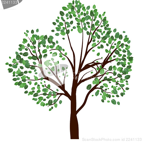 Image of Summer tree