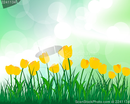 Image of Summer meadow 