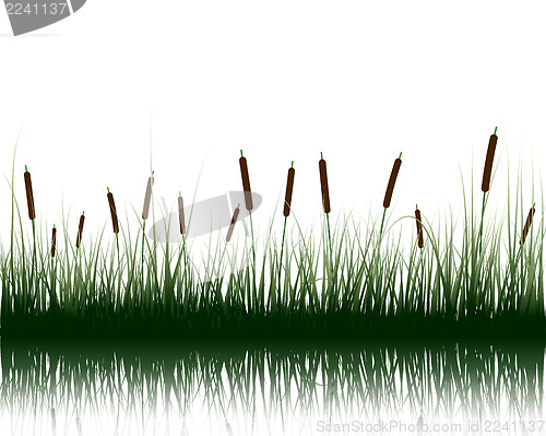 Image of grass with reflections in water