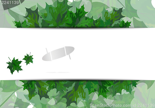 Image of Maple leaves