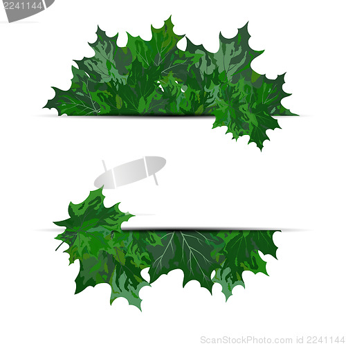 Image of Maple leaves