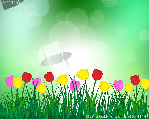 Image of Summer meadow 