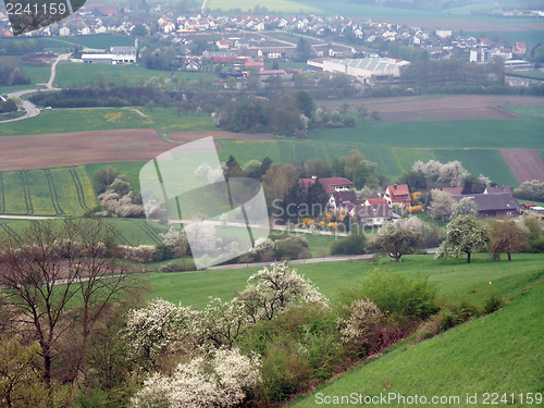 Image of around Einkorn