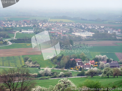 Image of around Einkorn