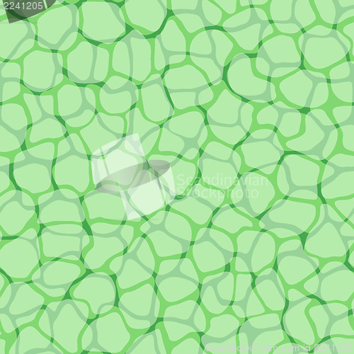 Image of Plant cells micro pattern background