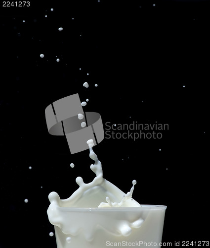Image of Splashing milk on black background