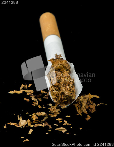Image of Crumpled cigarette