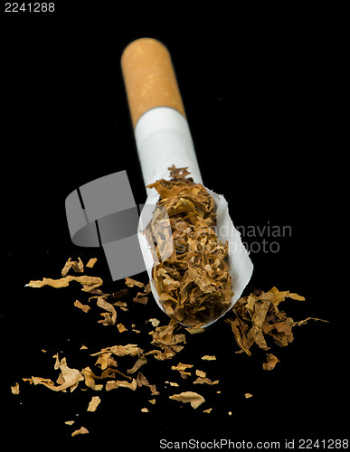 Image of Crumpled cigarette
