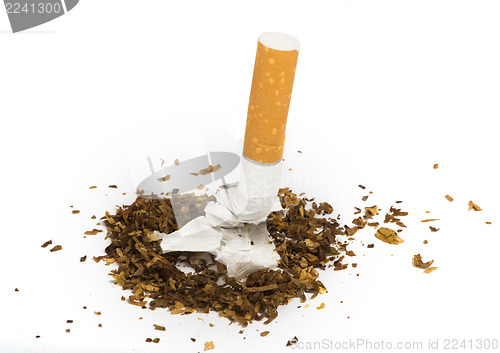 Image of Crumpled cigarette