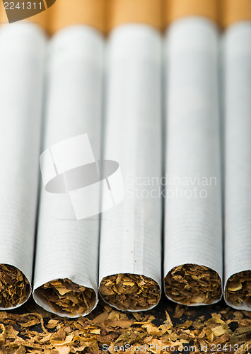 Image of Arranged in a row cigarettes