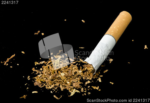 Image of Crumpled cigarette