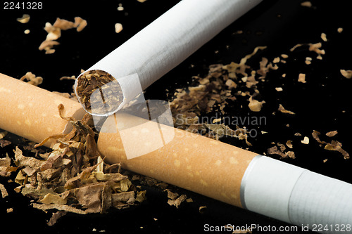 Image of Arranged in a row cigarettes