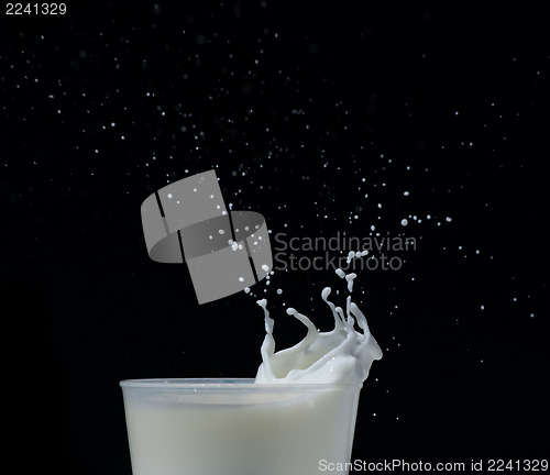 Image of Splashing milk black isolated