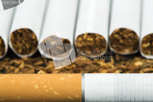 Image of Arranged in a row cigarettes