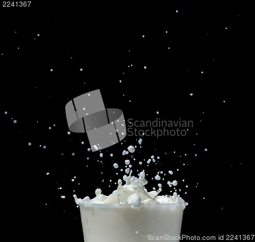 Image of Splashing milk on black background
