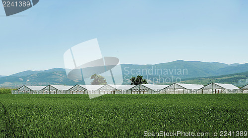 Image of Greenhouse plantation and cultivated land
