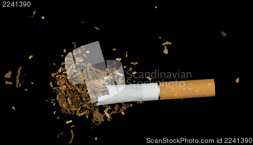 Image of Crumpled cigarette