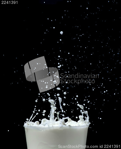 Image of Splashing milk on black background