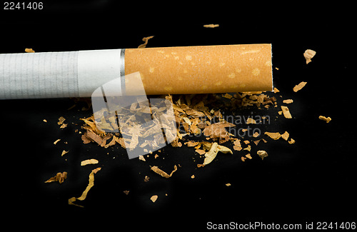 Image of Crumpled cigarette