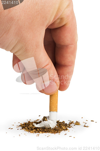 Image of Crumpled cigarette