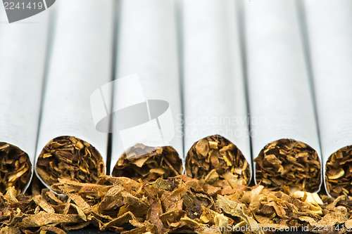 Image of Arranged in a row cigarettes