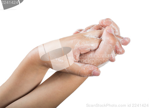 Image of Lathered hands and soap