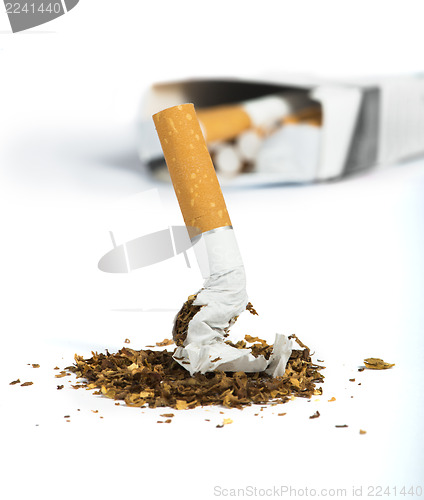 Image of Crumpled cigarette