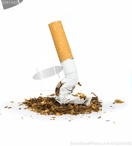 Image of Crumpled cigarette