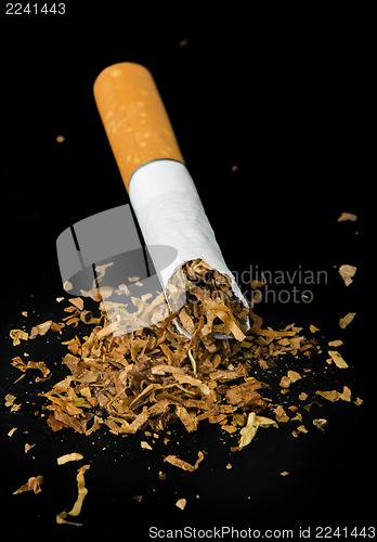 Image of Crumpled cigarette