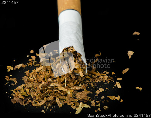 Image of Crumpled cigarette