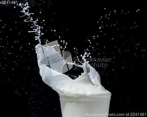 Image of Splashing milk on black background