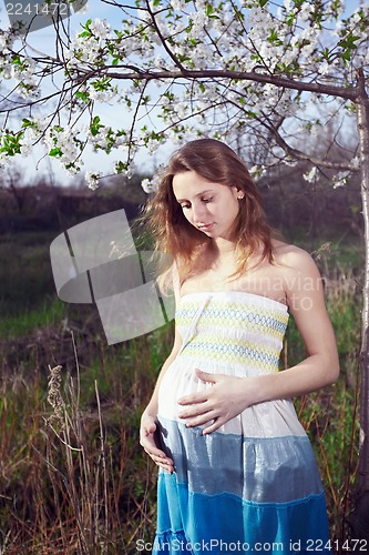 Image of Pregnant girl on a tree