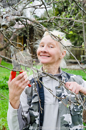 Image of Woman cuts a branch at an Apple-tree, a spring in the garden 