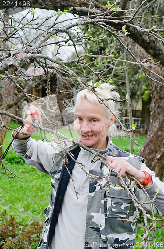 Image of Woman cuts a branch at an Apple-tree, a spring in the garden 