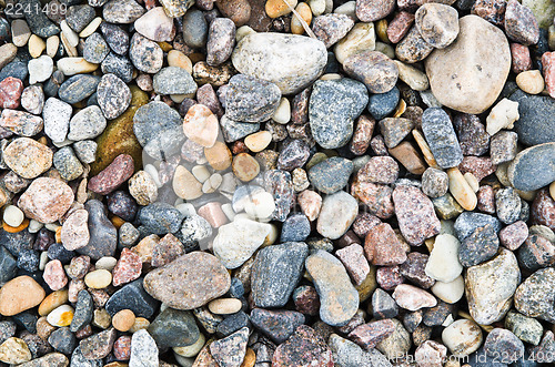 Image of Multi-coloured sea stones, close-up 