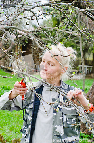 Image of Woman cuts a branch at an Apple-tree, a spring in the garden 