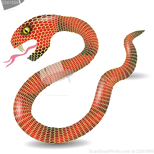 Image of red snake