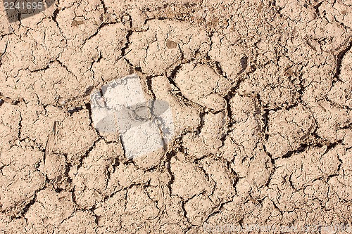 Image of Cracked soil