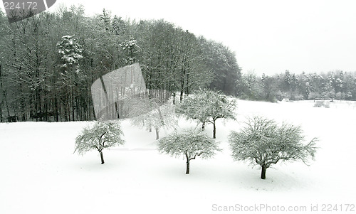 Image of winter landscape