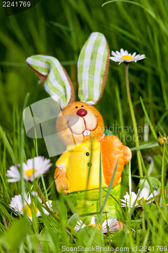 Image of easter bunny outdoor in spring 