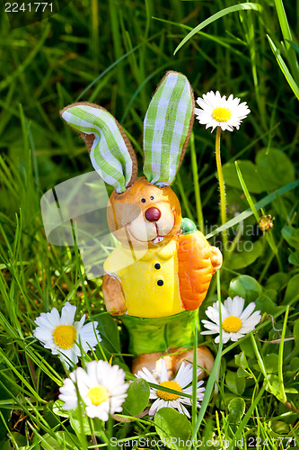 Image of easter bunny outdoor in spring 